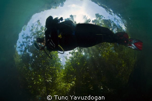Flying trough the Rain Forest.. by Tunc Yavuzdogan 